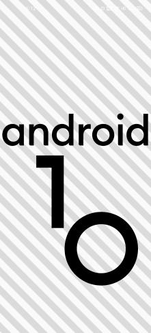 Android 11 Beta 3 发布，惊喜彩蛋揭晓，开启云养猫